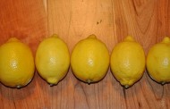 طريقة عمل مربى زهر الليمون السوري
