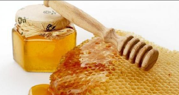 فوائد عسل السدر الجبلي اليمني