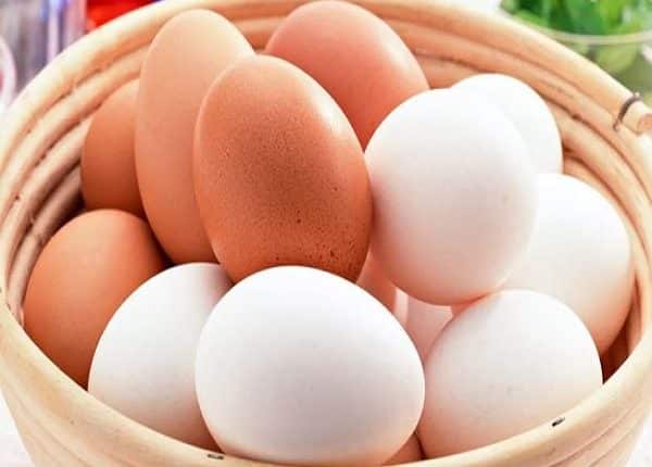 أيهما أفضل البيض الأبيض أم الأحمر وما الفرق بينهما