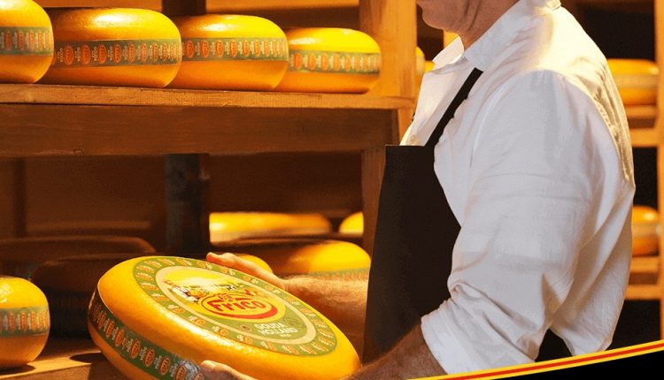 شركة فريكو للاجبان عراقة الماضي
